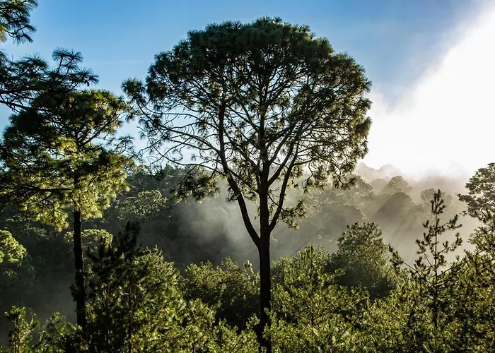 Bosque Escondido