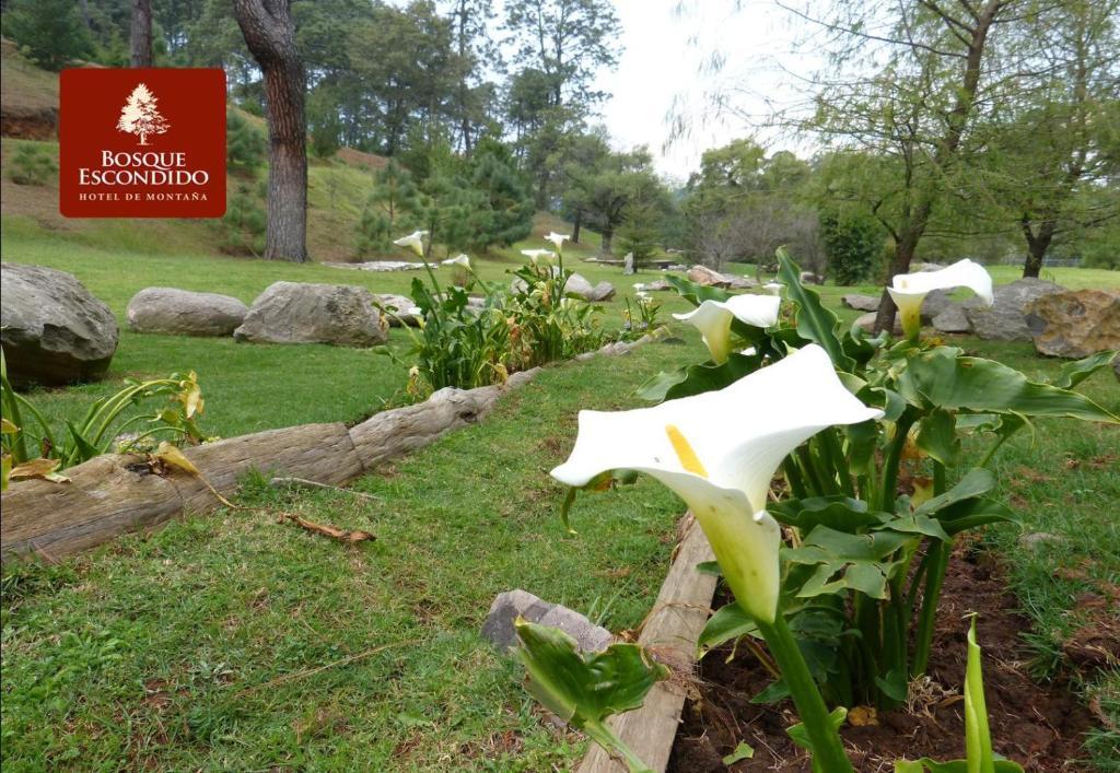 Hotel Bosque Escondido Mazamitla